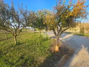 Villa in vendita a Rimini RN