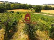 Villa in vendita a Rimini RN