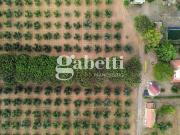 Villa in vendita a Roma