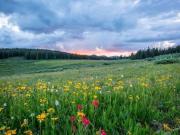 Villa in vendita a Roma