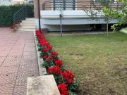 Villa in vendita a Roma