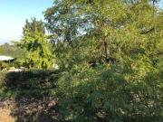 Villa in vendita a Roma RM