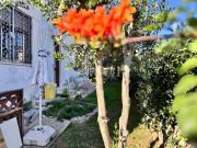 Villa in vendita a Roma RM