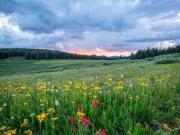 Villa in vendita a Roma RM