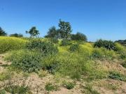 Villa in vendita a Roma RM