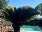 Villa in vendita a Roma RM