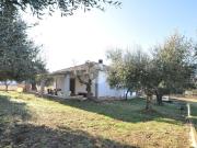 Villa in vendita a Roma RM