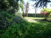 Villa in vendita a Rovigo RO