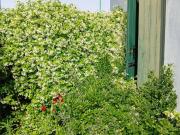 Villa in vendita a Salzano VE