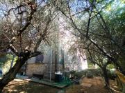 Villa in vendita a San Pietro a Vico Lucca 150 mq Rif:...