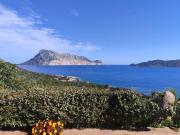 Villa in vendita a San Teodoro SS Villa in vendita a San Teodoro SS