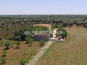 Villa in vendita a San Vito dei Normanni BR