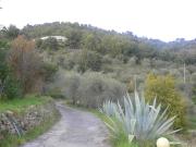 Villa in vendita a Sanremo IM