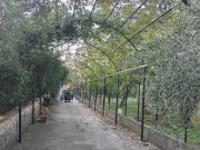 Villa in vendita a Sarno SA