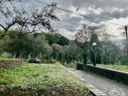Villa in vendita a Sarzana SP
