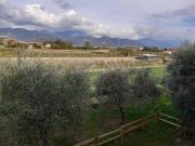 Villa in vendita a Sarzana SP