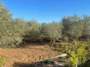 Villa in vendita a Sassari SS