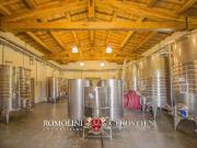 Villa in vendita a Scansano GR