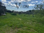 Villa in vendita a Seravezza, Cafaggio