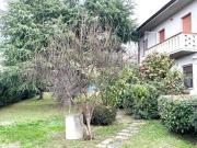 Villa in vendita a Seravezza LU