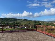 VILLA in VENDITA a SIGNA COLLI ALTI di 21 vani