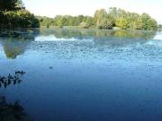 Villa in vendita a Silea TV