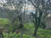 Villa in vendita a Sorrento NA
