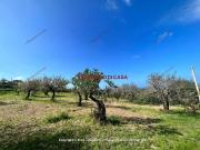 Villa in vendita a Termini Imerese PA