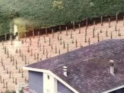 Villa in vendita a Tollo CH