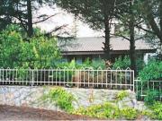 Villa in vendita a Toritto BA