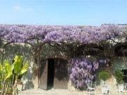 Villa in vendita a Tortona AL