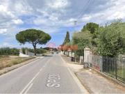 Villa in vendita a Trani BT