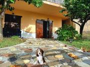 Villa in vendita a Trecchina PZ