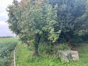 Villa in vendita a Treviso TV