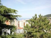 Villa in vendita a Trieste TS