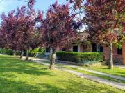 Villa in vendita a Tuoro sul Trasimeno PG