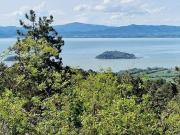 Villa in vendita a Tuoro sul Trasimeno PG