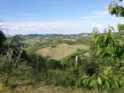 Villa in vendita a Urbino PU
