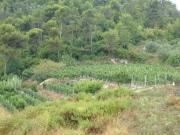 Villa in vendita a Vallecrosia IM