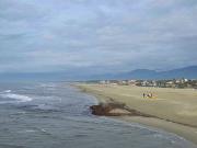 VILLA in VENDITA a VIAREGGIO di 5 vani