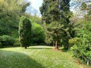 Villa in vendita a Vicenza VI
