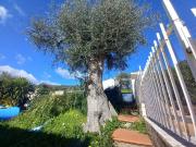 Villa in vendita a Vieste FG