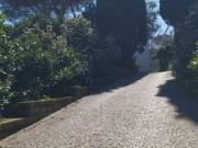 Villa in vendita a Viterbo VT