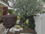 Villa in vendita a Zero Branco TV