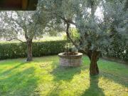 Villa in vendita Bassano del Grappa, Veneto