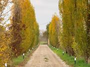 Villa in vendita di 230 m²