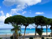 Villa in vendita in viale regina elena 0, Palermo