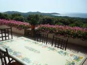 Villa in Vendita in zona PUNTA ALA con giardino