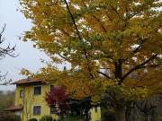 VILLA IN VENDITA NEL VERDE ZONA CHRIST VICINANZE CENTRO...