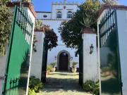 Villa in Via Giovanni Battista Della Porta